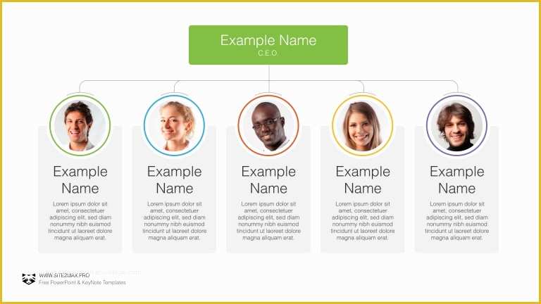 Free Keynote organization Chart Template Of Free Template organization Chart