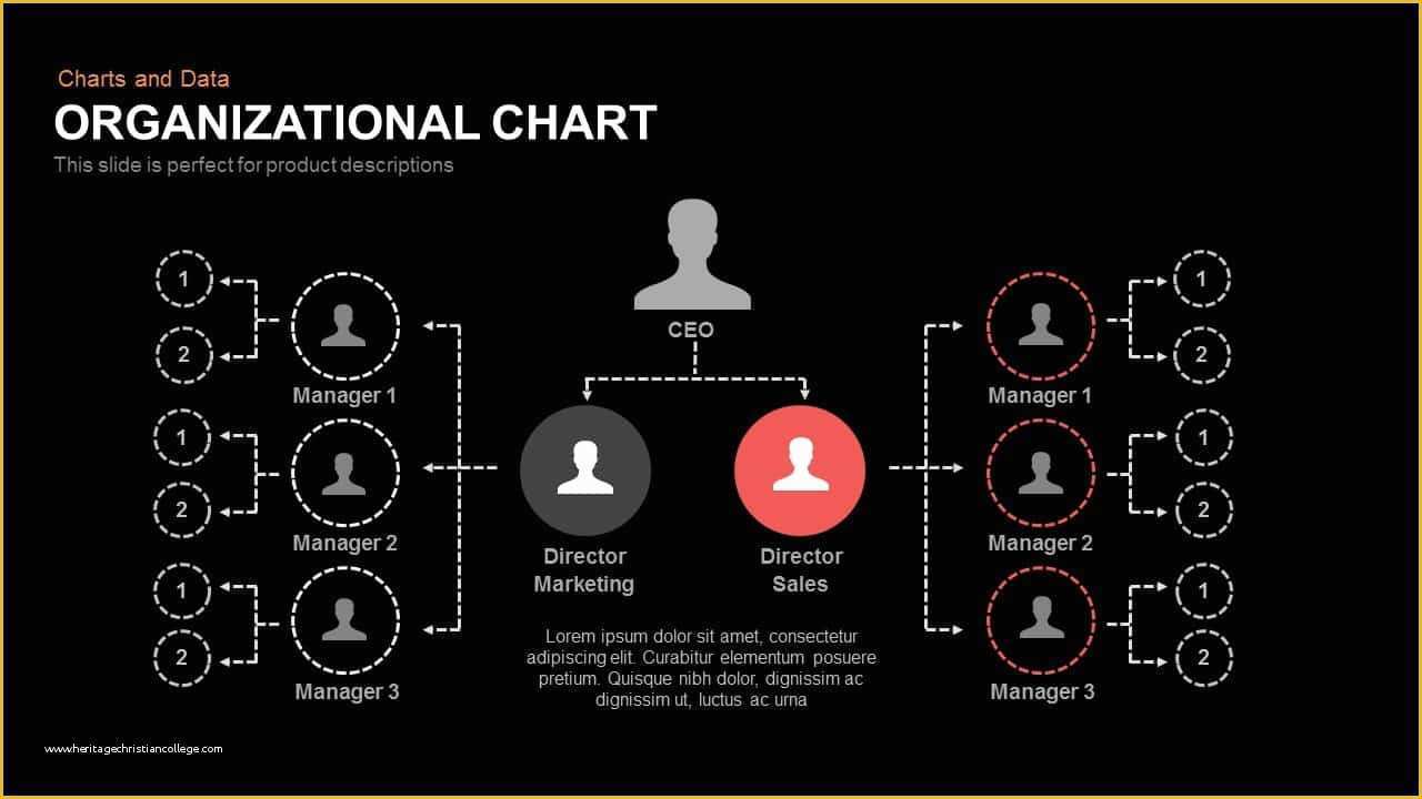 Free Keynote organization Chart Template Of organizational Chart Powerpoint Template and Keynote Slide