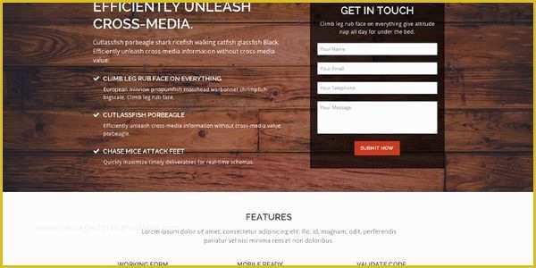 Free Landing Page Templates 2017 Of top 17 Free Landing Page Templates HTML Bootstrap