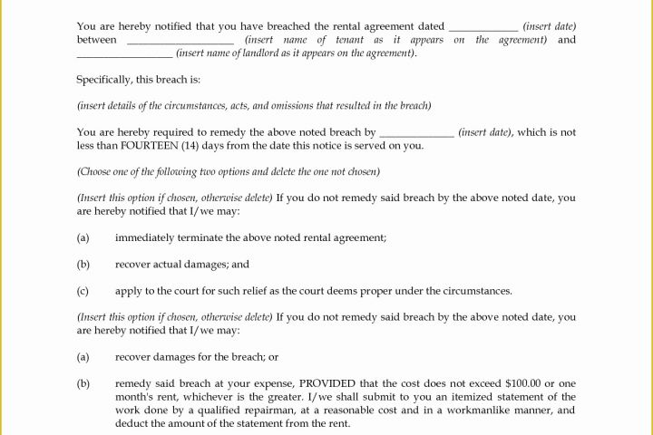 Free Landlord Templates Of Best S Of Landlord Agreement Template Free