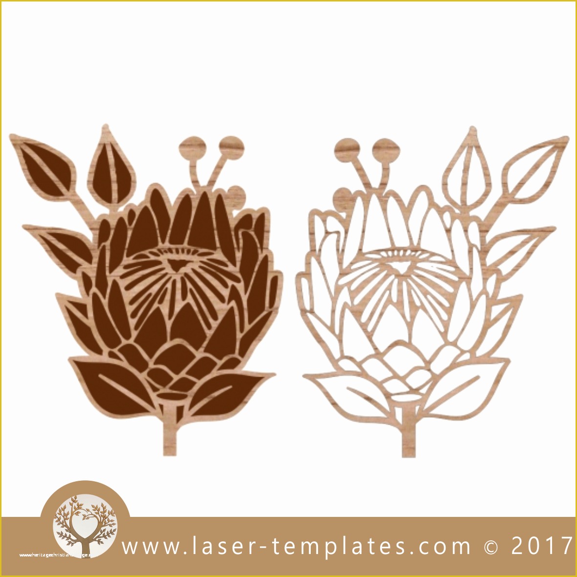 Free Laser Engraving Templates Of Protea Cut and Engrave 5 Laser Cutter