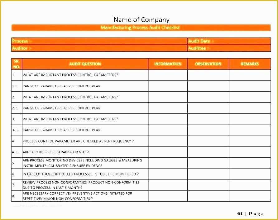 Layered Process Audit Template