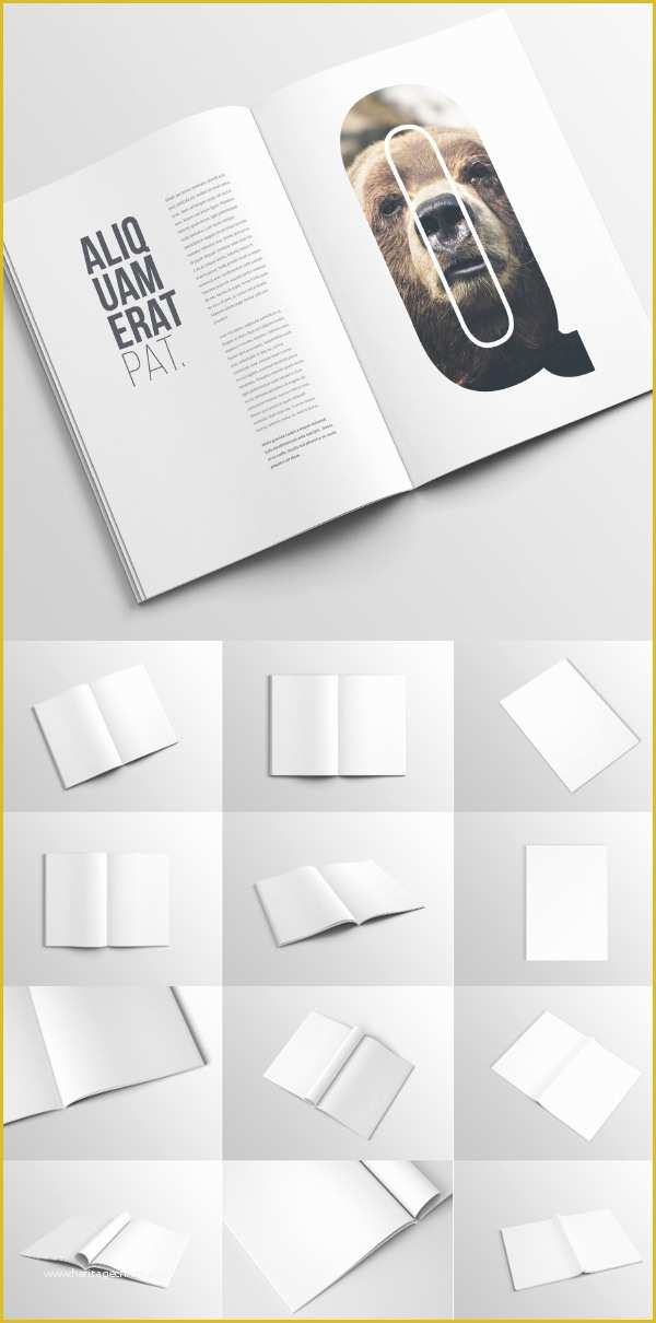 Free Magazine Mockup Psd Template Of 50 Free Branding Psd Mockups for Designers