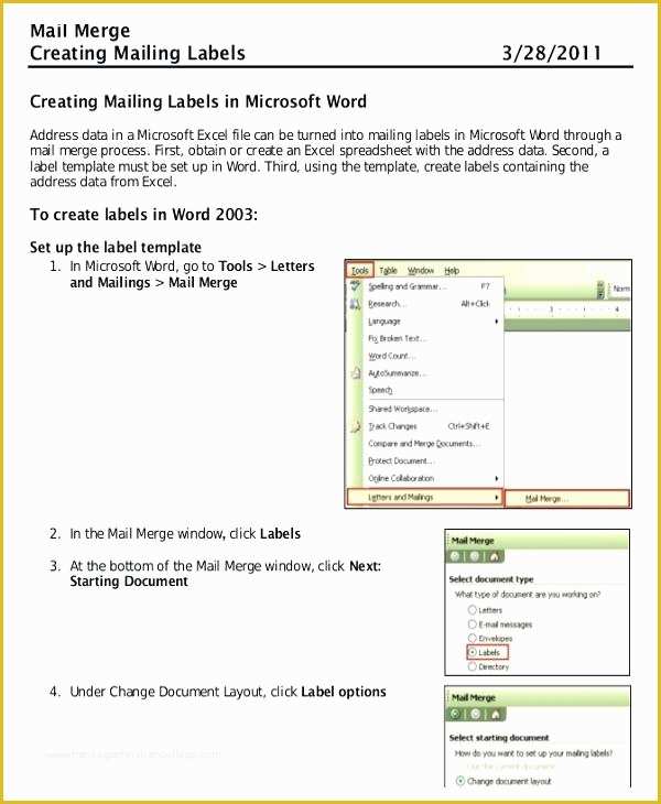 Free Mailing Label Template for Word Of Mailing Label Template Word Address Labels Blank Microsoft