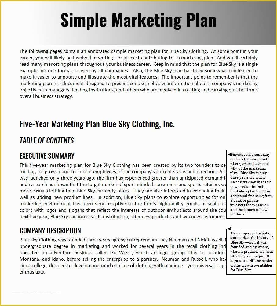 Free Marketing Templates Of 32 Free Marketing Strategy Planning Template Pdf Ppt