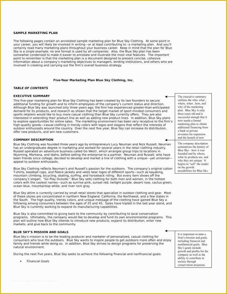 Free Marketing Templates Of 5 Professional Marketing Plan Templates
