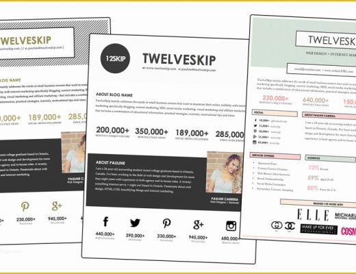 Free Media Kit Template Of Review Media Kit Templates From Hip Media Kits