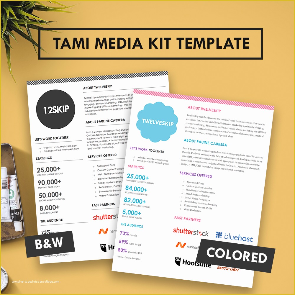 Free Media Kit Template Of Tami Media Kit