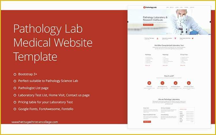 Free Medical Laboratory Website Template Of 10 Best Medical & Health Care Website Template Jitu
