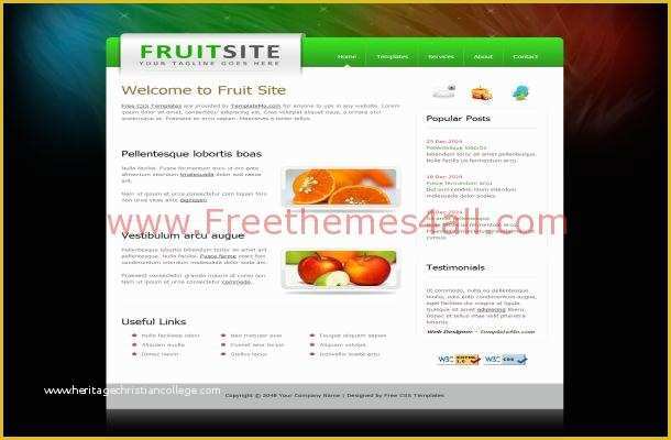 Free Medical Website Templates Download HTML and Css Of Free Css Fruits Health HTML Website Template Design Download