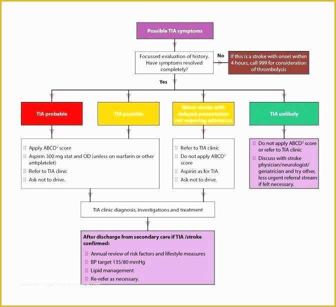 Free Mental Health Treatment Plan Template Of Mental Health Care Plan Template Templates for Free