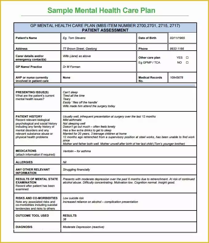 Free Mental Health Treatment Plan Template Of Mental Health Care Plan Templates 17 Free Word Pdf