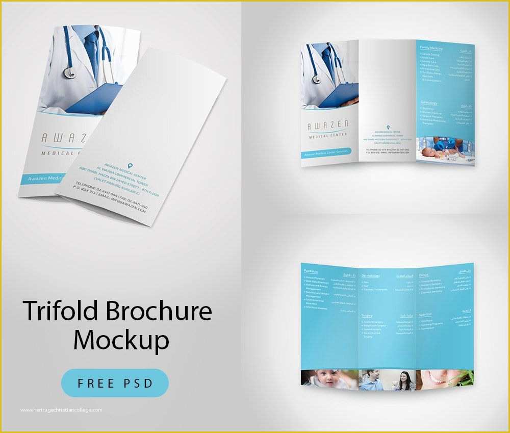 Free Mockup Templates Of Download Trifold Brochure Mockup Free Psd This A4 Trifold