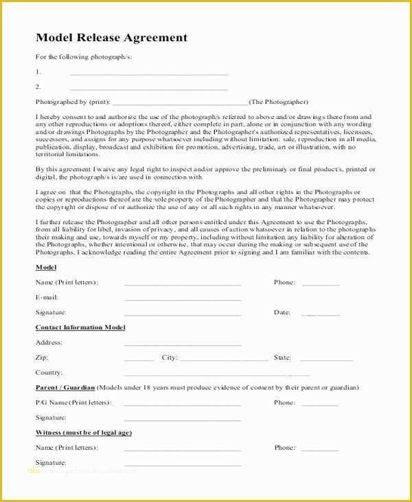 Free Modeling Contract Template Of Beautiful Modeling Contract Template