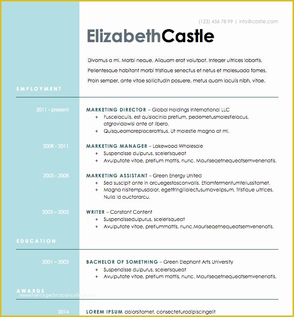Free Modern Resume Templates for Word Of Free Resume Download Blue Side Microsoft Word format