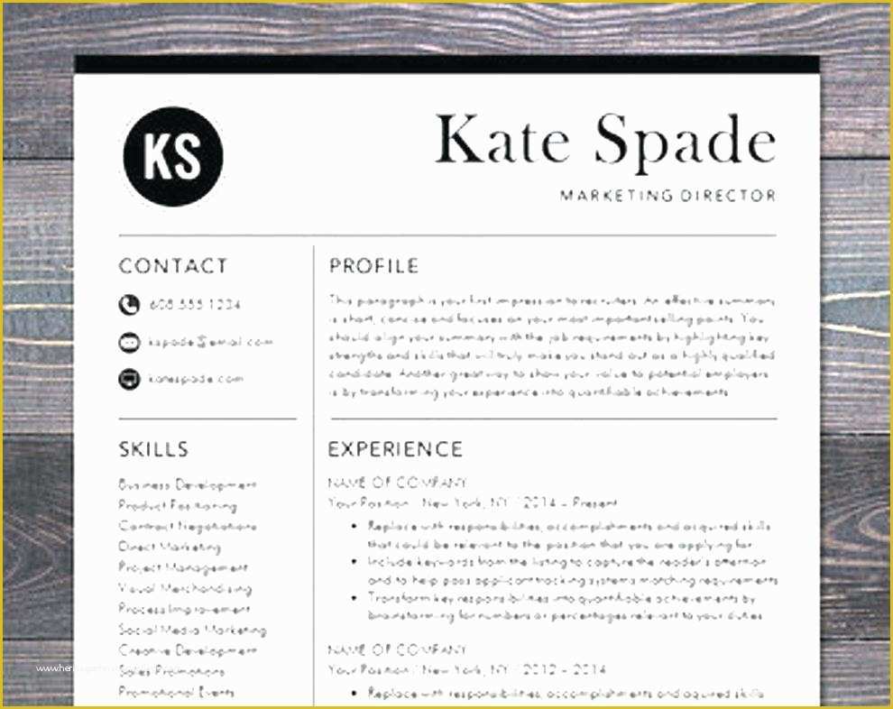Free Modern Resume Templates for Word Of Modern Resume Template Free Download Reeviewer