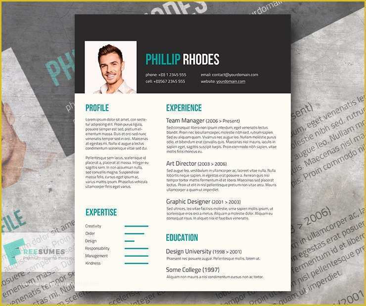 Free Modern Resume Templates Of Free Modern Resume Template