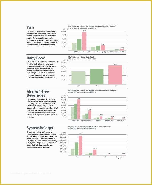 Free Monthly Marketing Report Template Of 20 Marketing Report Template – Free Pdf Google Docs