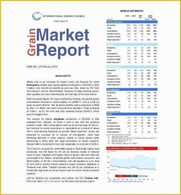 Free Monthly Marketing Report Template Of Digital Marketing Monthly Report Template Digital