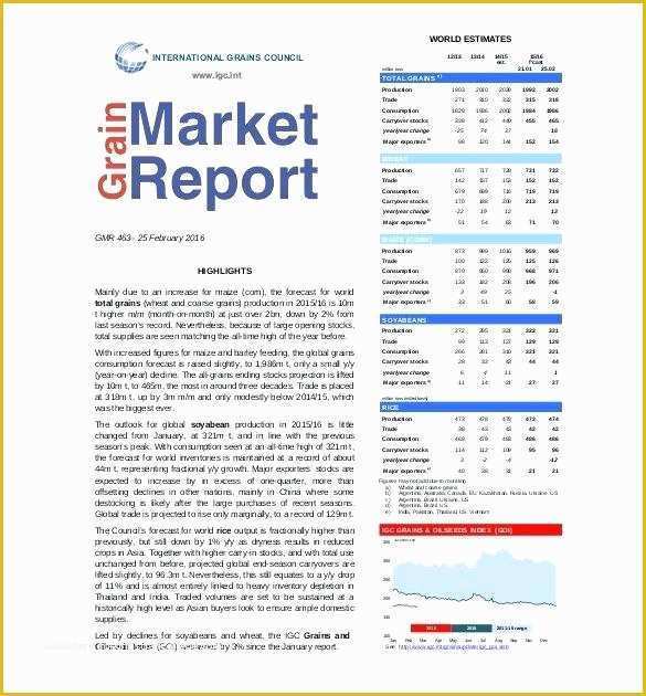 Free Monthly Marketing Report Template Of Digital Marketing Monthly Report Template Digital