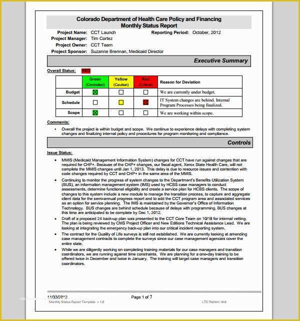 Free Monthly Marketing Report Template Of Monthly Report Template format format Of Monthly Report