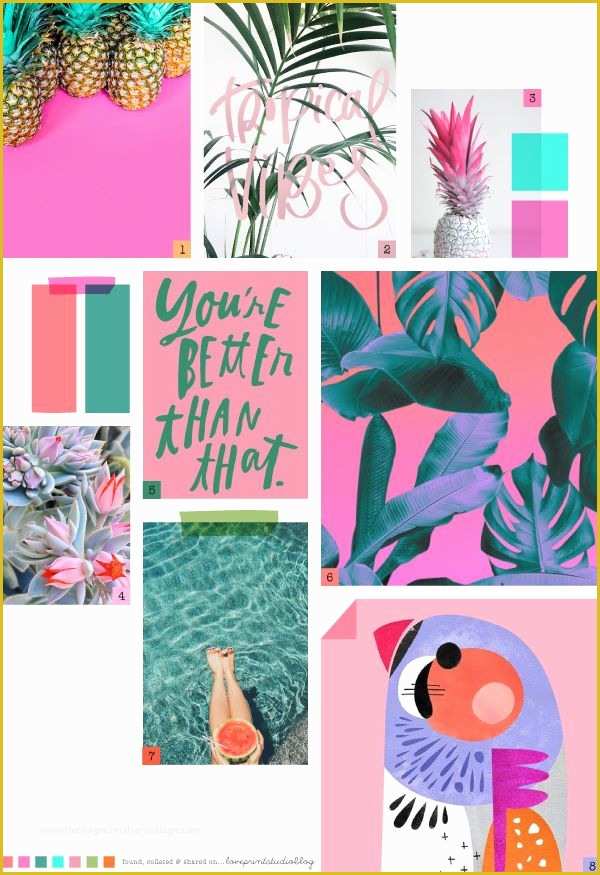 free-moodboard-template-illustrator-of-moodboard-tropical-vibes