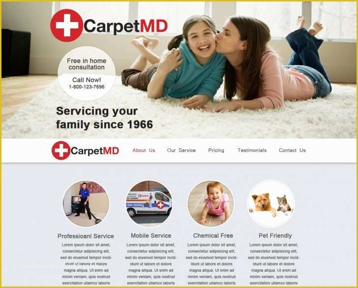 Free Mortgage Website Templates Of Amazing Carpet Cleaning Website Template Model Examples