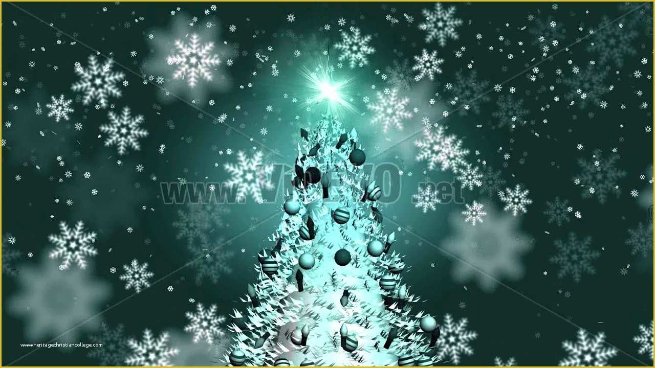 Free Motion Graphics Templates Of Free Stock Video Download Christmas Tree Motion