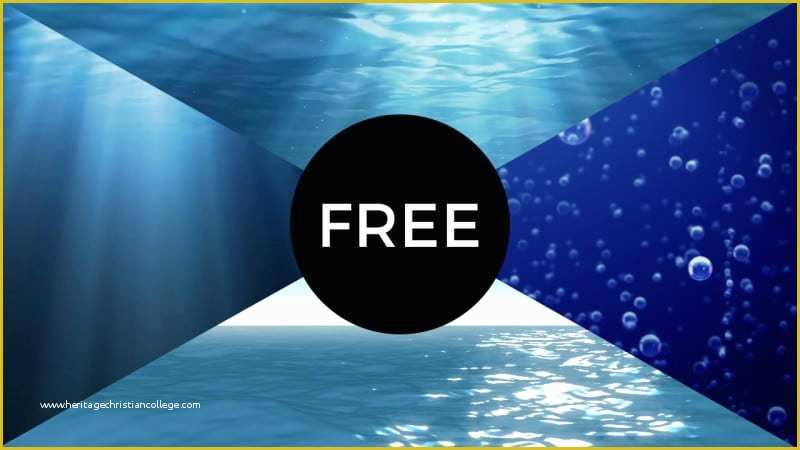 Free Motion Graphics Templates Of Freebies