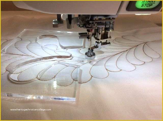 Free Motion Quilting with Templates Of Quilting with Rulers Feather Template
