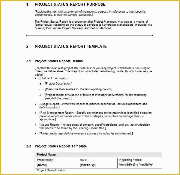 Free Ms Project Templates Of Microsoft Word Templates Free Project Status Report Template