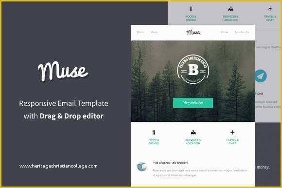 Free Muse Templates Responsive Of Muse Responsive Email Builder Mailchimp Templates