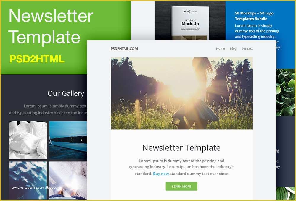 Free Newsletter Template HTML Of Free Newsletter Template Psd & HTML Graphicsfuel