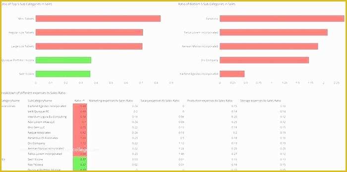 Free Nonprofit Dashboard Template Of Dashboard Example Financial Examples – Akronteachfo