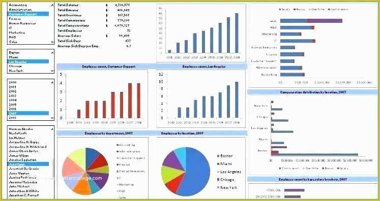 Free Nonprofit Dashboard Template Of Dashboard Example Financial ...