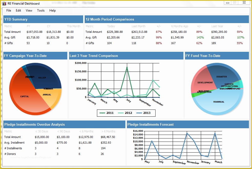 Free Nonprofit Dashboard Template Of Tucamino solutions Technology for Non Profits the Raiser