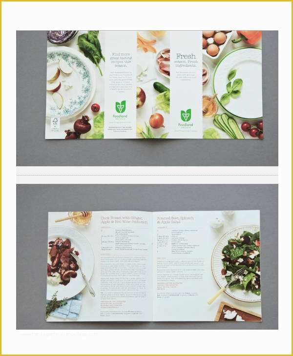 Free Online Cookbook Template Of 9 Recipe Book Templates Free Sample Example format