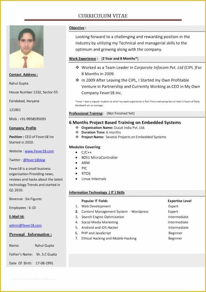 Free Online Cv Templates Of How to Make A Resume Resume Cv