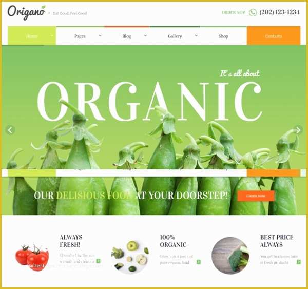 Free Online Grocery Website Template Of 17 organic Website themes &amp; Templates