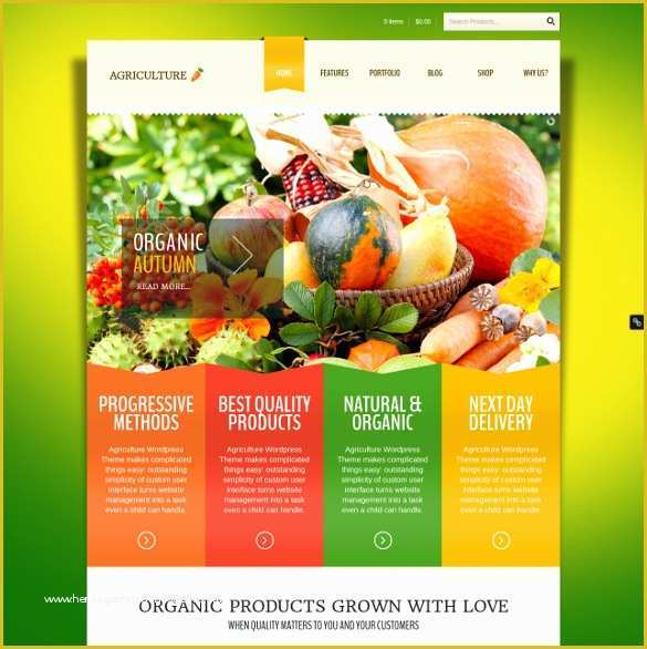 Free Online Grocery Website Template Of 29 Grocery Store Website themes &amp; Templates