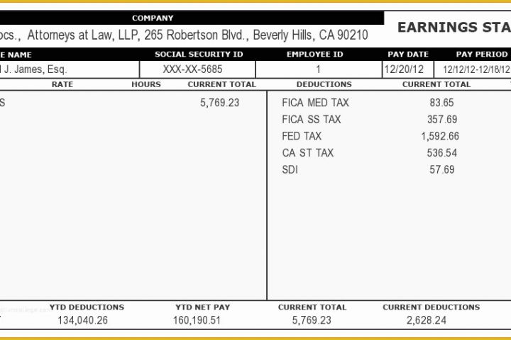 Free Online Pay Stub Template Of 7 Pay Stub Generator Free Online