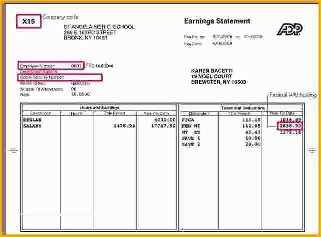 Free Online Pay Stub Template Of Free Printable Pay Stubs Line