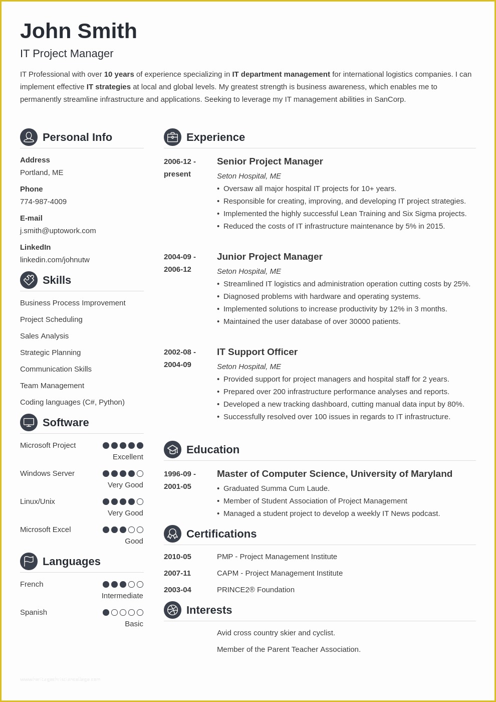 53 Free Online Resume Templates Download