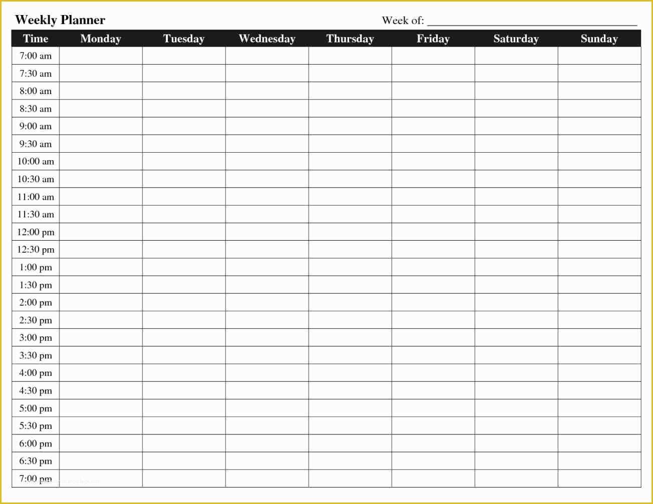 Free Online Schedule Template Of Hourly Schedule Template