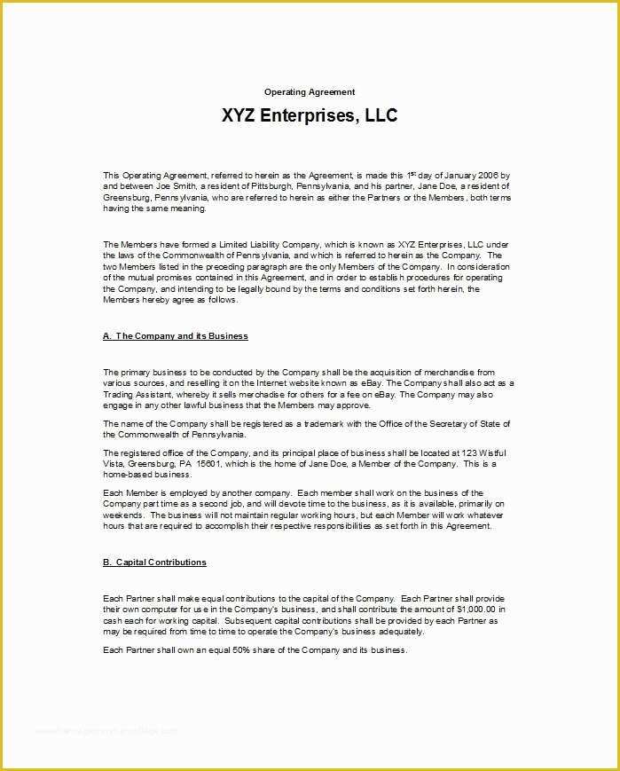 Free Operating Agreement Template Of 30 Free Professional Llc Operating Agreement Templates