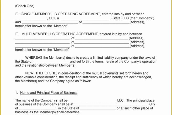 Free Operating Agreement Template Of Free Llc Operating Agreement Templates Pdf