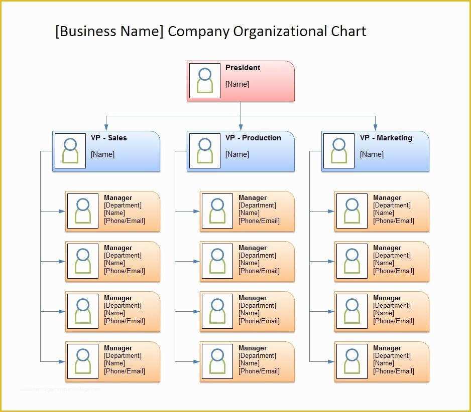 Free org Chart Template Of 40 Free organizational Chart Templates Word Excel