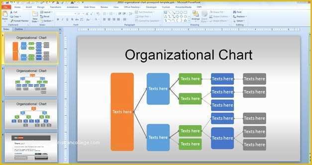 Free org Chart Template Of Free org Chart Powerpoint Template for organizational