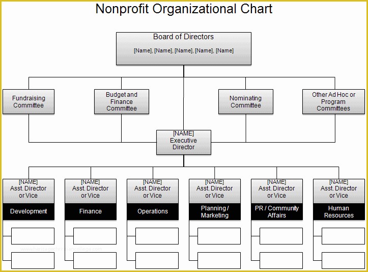 Free org Chart Template Of Free organizational Chart Template Pany organization