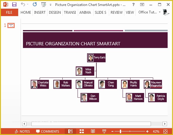 43 Free org Chart Template